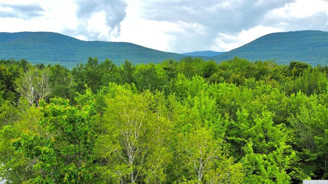 47-67 Shad Rd, East Jewett, NY 12444 - photo 5