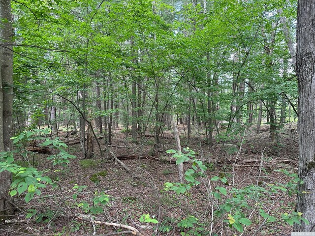 47-67 Shad Rd, East Jewett, NY 12444 - photo 10