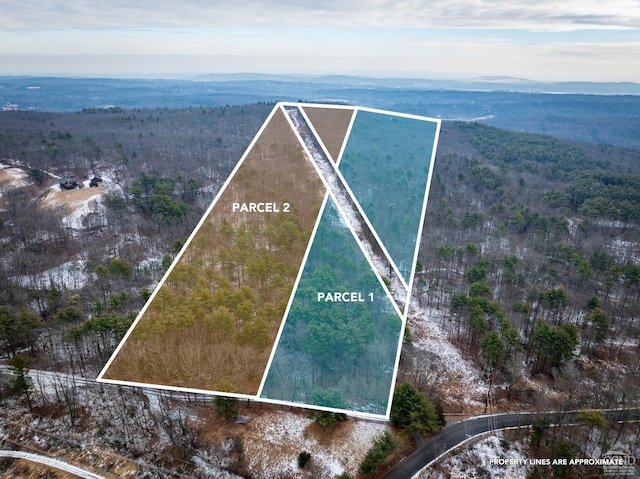 487 Cauterskill Rd, Catskill, NY 12414