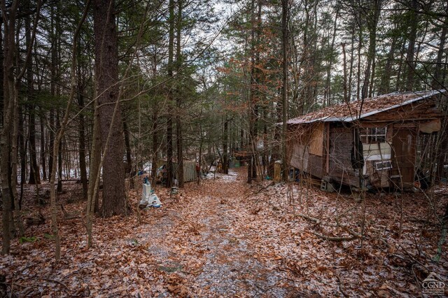 487 Cauterskill Rd, Catskill, NY 12414