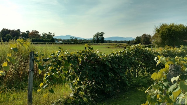 2322 US Route 9, Hudson, NY 12534 - view of yard with a mountain view and a view of countryside