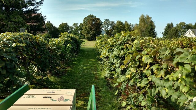 2322 US Route 9, Hudson, NY 12534 - view of nature