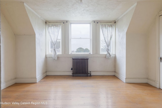 additional living space featuring radiator heating unit, a textured ceiling, and light hardwood / wood-style flooring