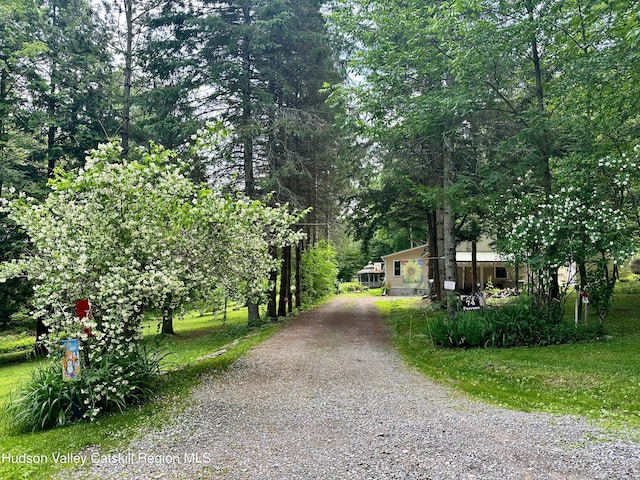 74 Fronckowiak Rd, Margaretville, NY 12455 - photo 32