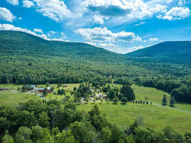 view of mountain feature with a rural view