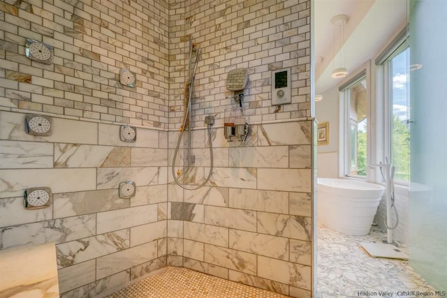 bathroom with a freestanding tub and a tile shower