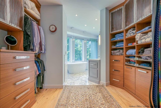 walk in closet with light wood-type flooring