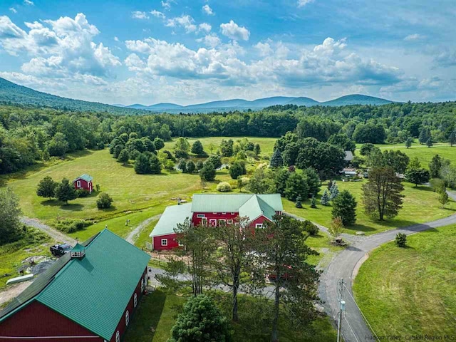 drone / aerial view with a mountain view