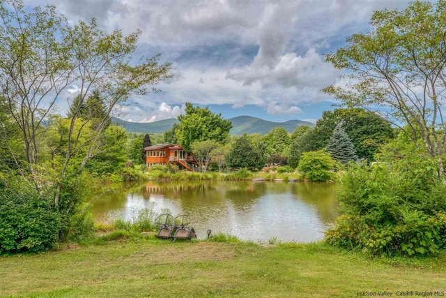 water view featuring a mountain view