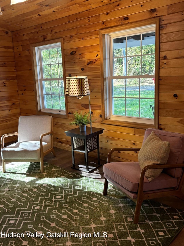 living area featuring wooden walls