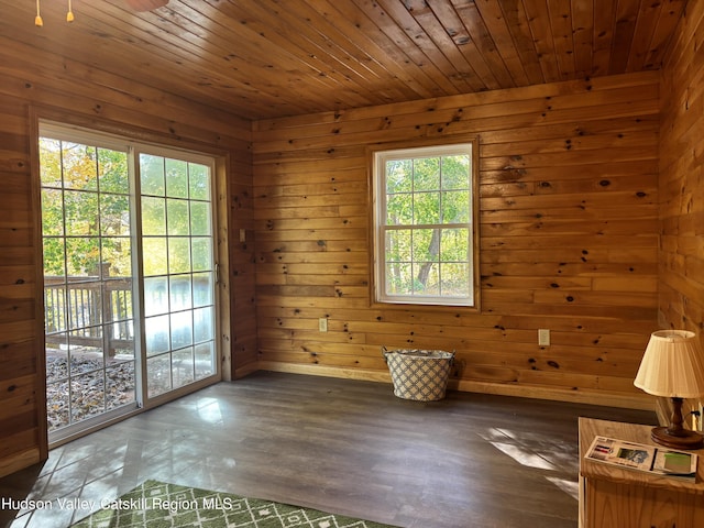 interior space featuring wood ceiling, wood walls, and dark wood-type flooring