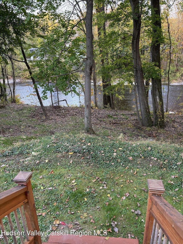 view of yard with a water view