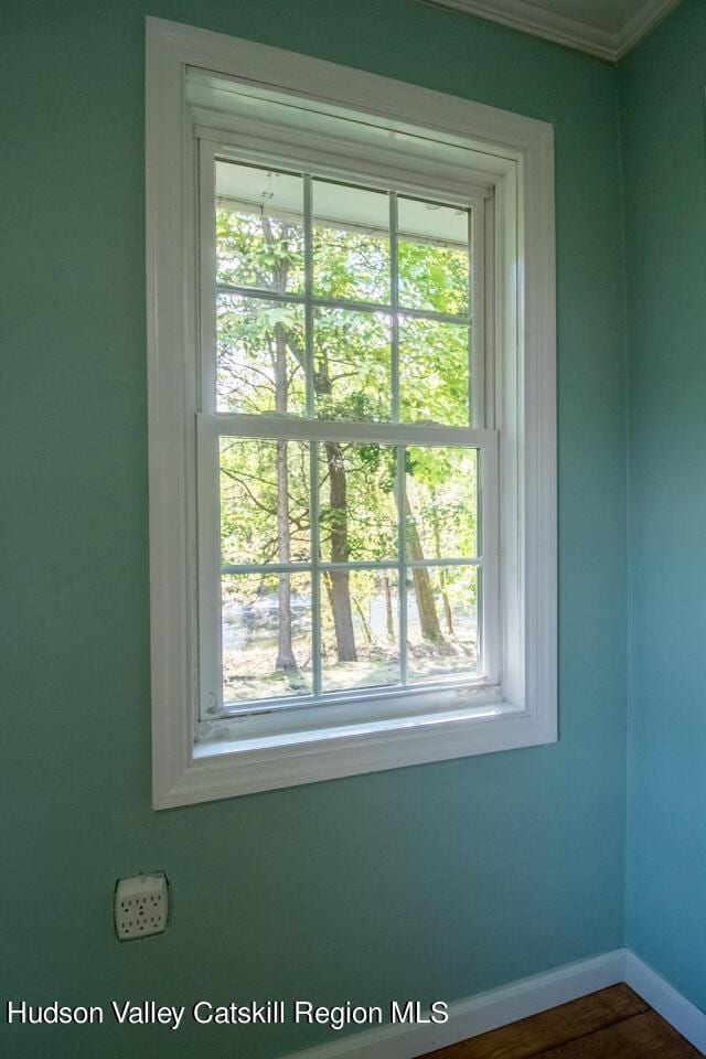 interior space with plenty of natural light and ornamental molding