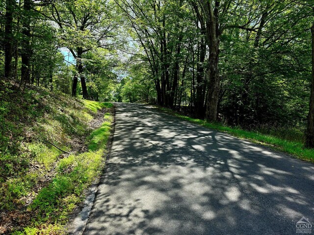 96 Deyo Rd, Alcove, NY 12046