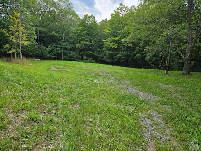 96 Deyo Rd, Alcove, NY 12046