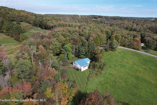206 Yaun Rd, Livingston Manor, NY 12758