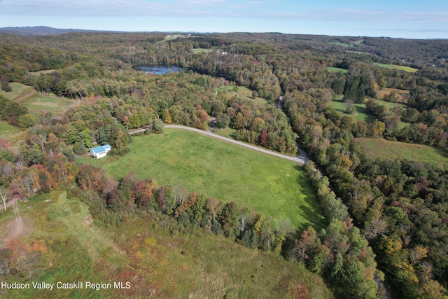 206 Yaun Rd, Livingston Manor, NY 12758