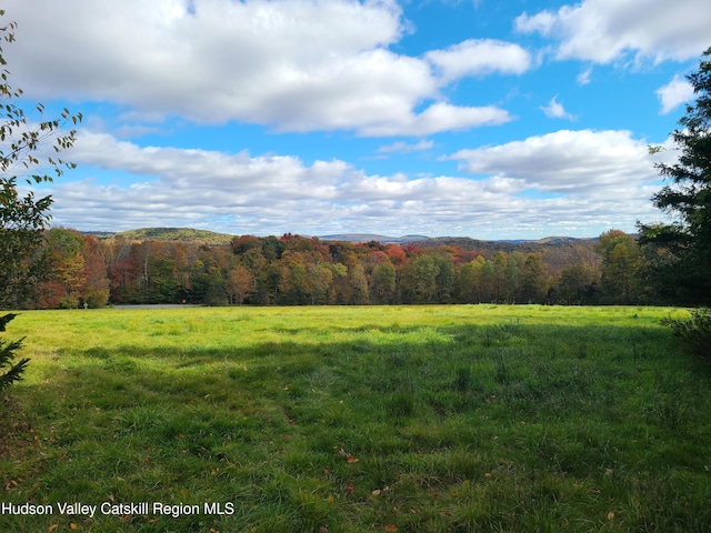 206 Yaun Rd, Livingston Manor, NY 12758