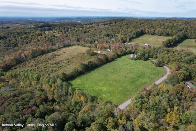 206 Yaun Rd, Livingston Manor, NY 12758