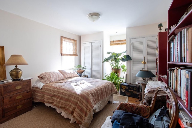 826 Rte 203, Austerlitz, NY 12165 - bedroom featuring two closets and multiple windows