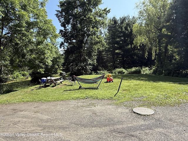 826 Rte 203, Austerlitz, NY 12165 - view of grassy yard