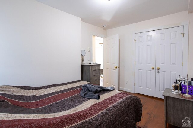 826 Rte 203, Austerlitz, NY 12165 - bedroom featuring wood-type flooring and a closet