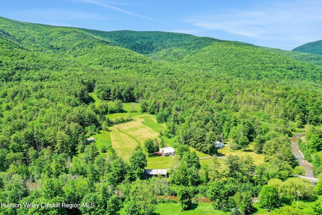 21 Long Rd, West Kill, NY 12492 - photo 1