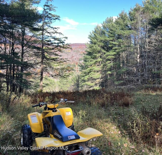 21 Long Rd, West Kill, NY 12492 - photo 8