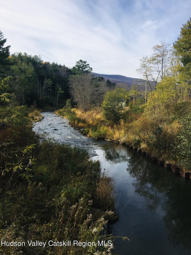 21 Long Rd, West Kill, NY 12492 - photo 12