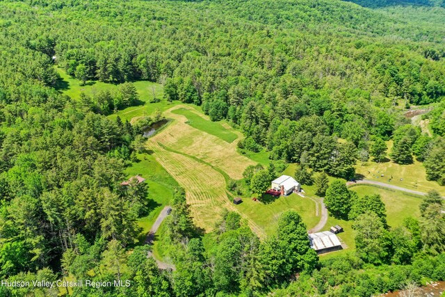 21 Long Rd, West Kill, NY 12492 - photo 61