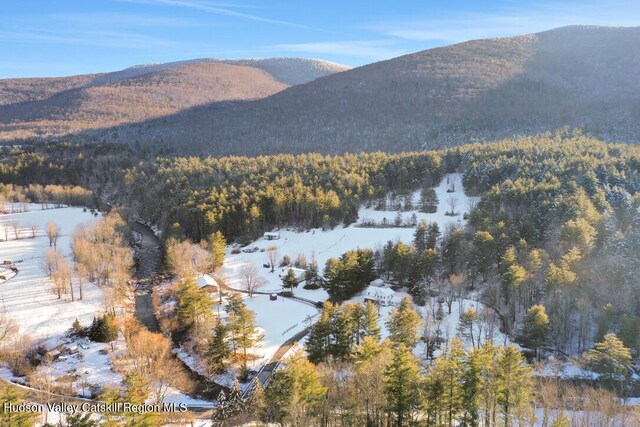 21 Long Rd, West Kill, NY 12492 - photo 46