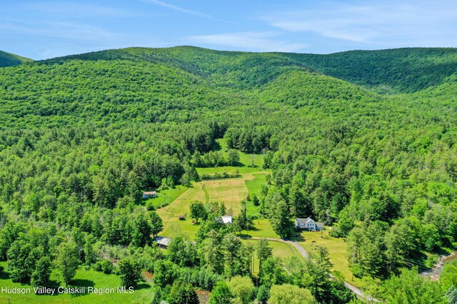 21 Long Rd, West Kill, NY 12492 - photo 60