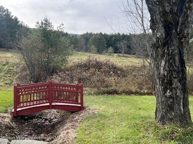 21 Long Rd, West Kill, NY 12492 - photo 47