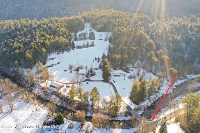 21 Long Rd, West Kill, NY 12492 - photo 55