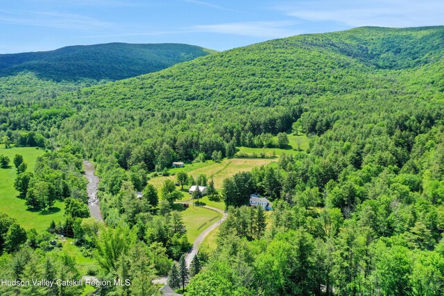 21 Long Rd, West Kill, NY 12492 - photo 2