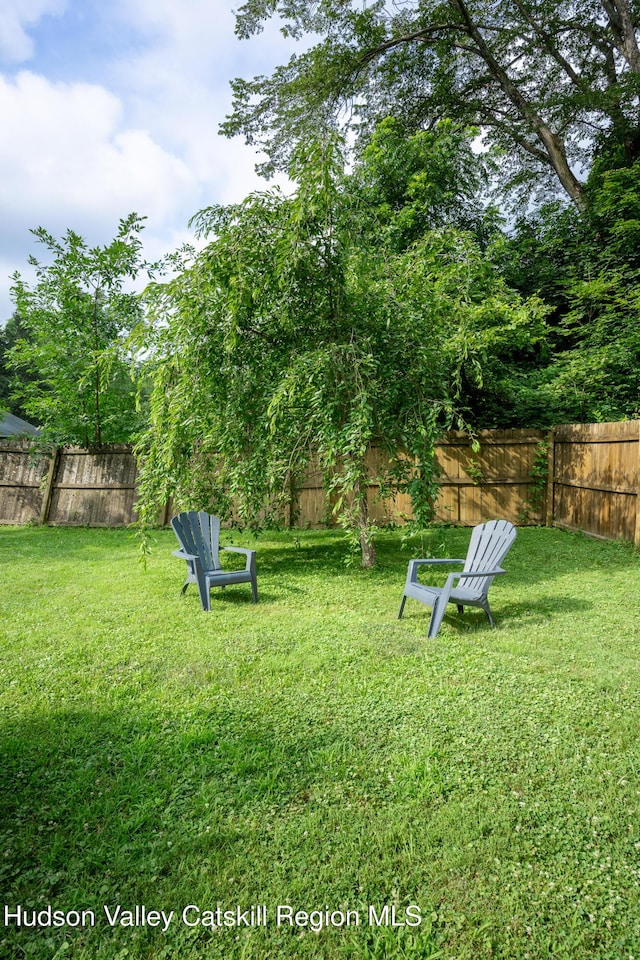 219 Rte 32, New Paltz, NY 12561 - view of fenced backyard