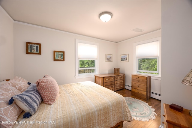 219 Rte 32, New Paltz, NY 12561 - bedroom with multiple windows, dark wood-style floors, a baseboard heating unit, and crown molding