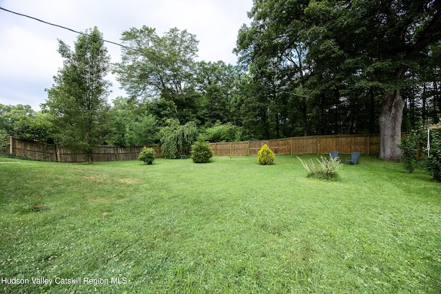 219 Rte 32, New Paltz, NY 12561 - view of fenced backyard