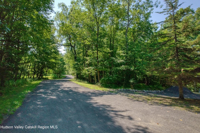 5 Woodpecker Ct, Athens, NY 12015 - photo 7