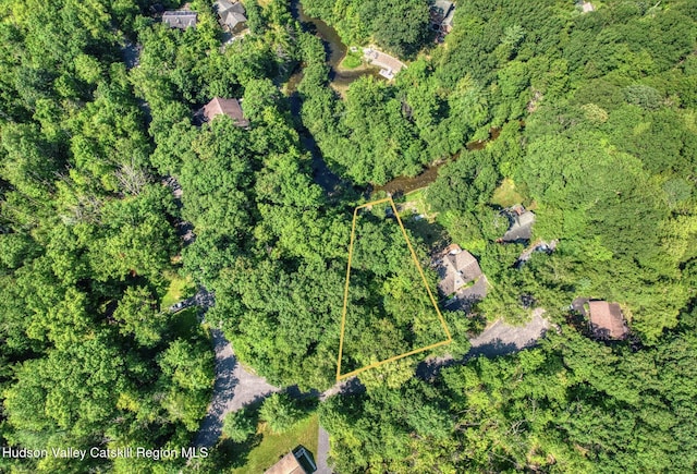 5 Woodpecker Ct, Athens, NY 12015 - photo 1