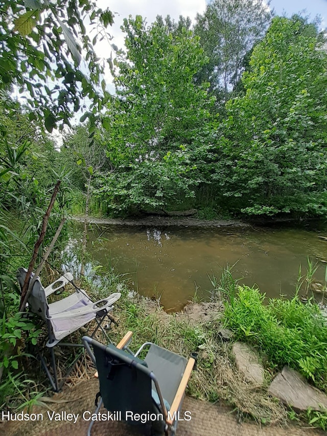 5 Woodpecker Ct, Athens, NY 12015 - photo 10