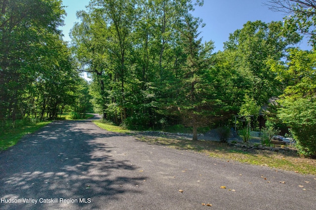 5 Woodpecker Ct, Athens, NY 12015 - photo 3