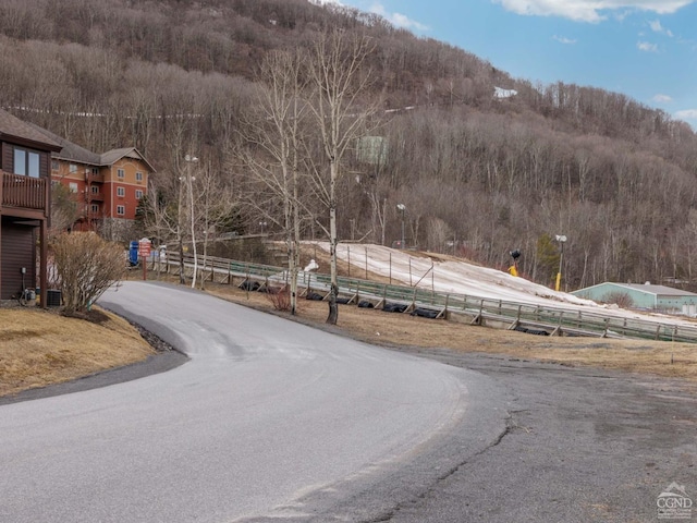 73-B4 Liftside Dr, Hunter, NY 12442 - view of asphalt road featuring a mountain view and a forest view