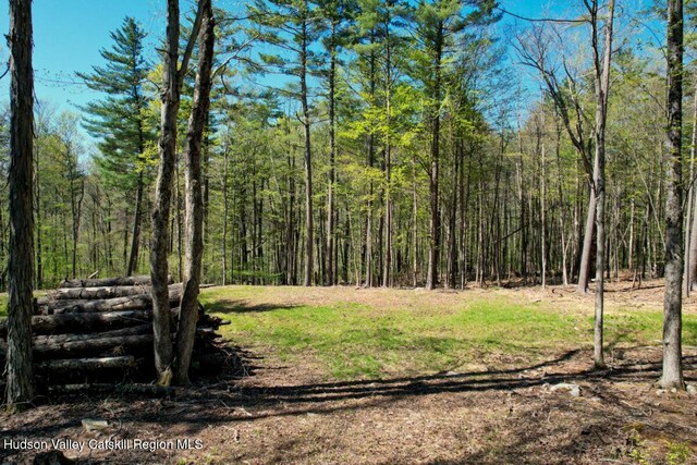 5305 Rte 212, Mount Tremper, NY 12457