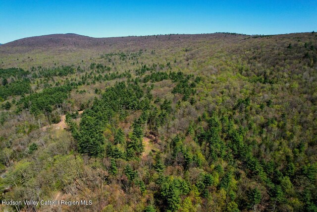 5305 Rte 212, Mount Tremper, NY 12457
