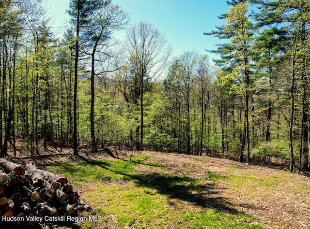 5305 Rte 212, Mount Tremper, NY 12457