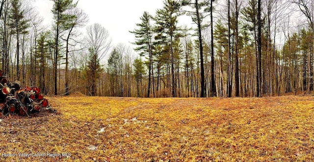 5305 Rte 212, Mount Tremper, NY 12457