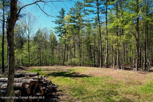 5305 Rte 212, Mount Tremper, NY 12457