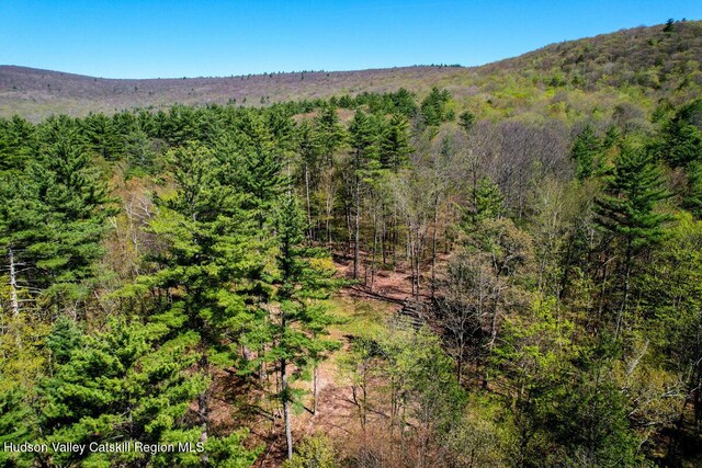 5305 Rte 212, Mount Tremper, NY 12457