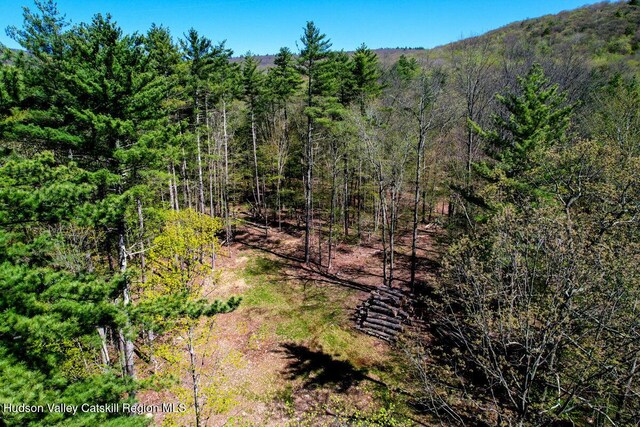 5305 Rte 212, Mount Tremper, NY 12457